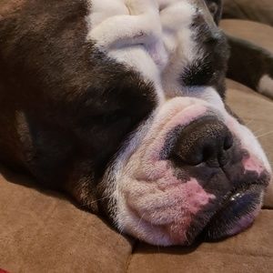 Meet your Posher, Candace